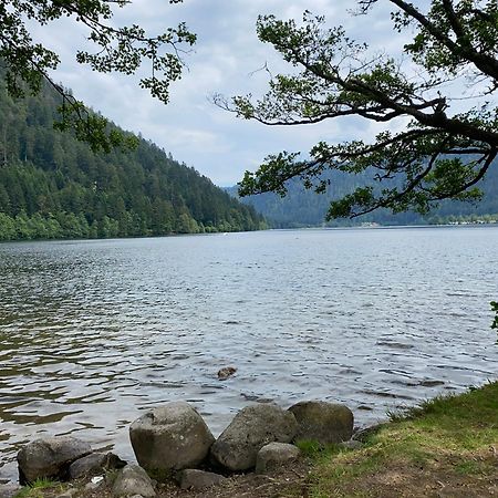 Charmant Chalet, Spacieux, Proche Du Lac, Vue Sur La Montagne Gérardmer Eksteriør bilde