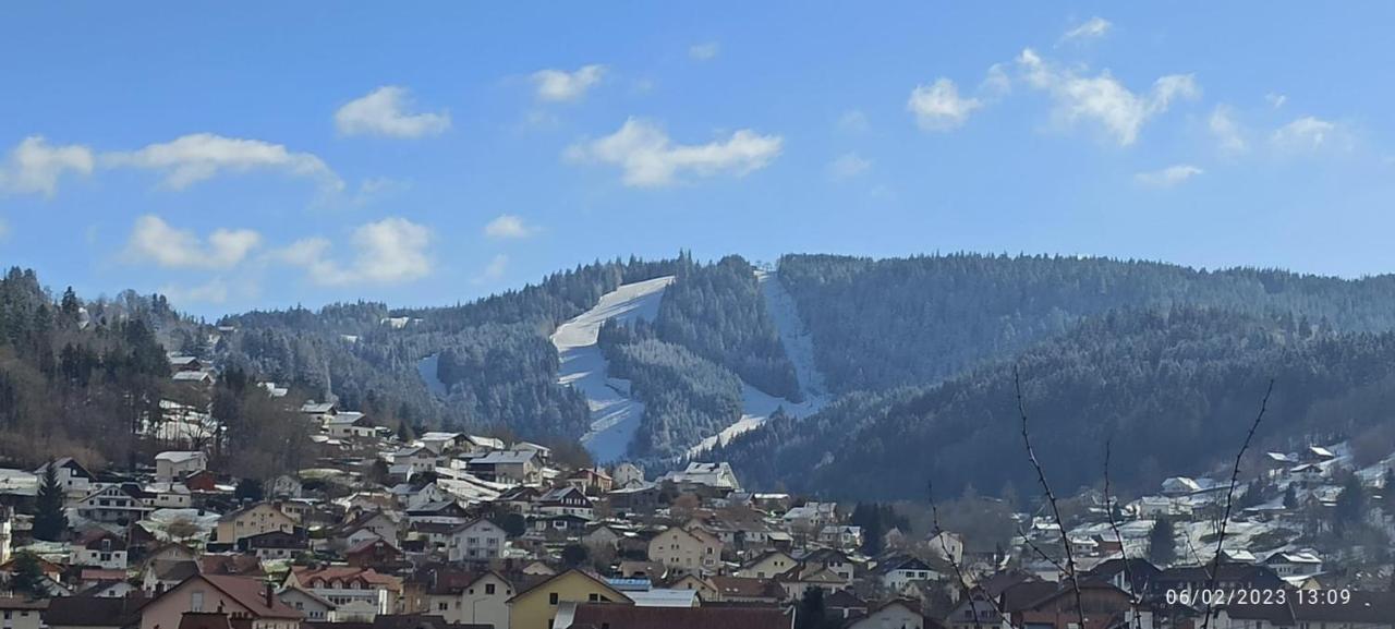 Charmant Chalet, Spacieux, Proche Du Lac, Vue Sur La Montagne Gérardmer Eksteriør bilde