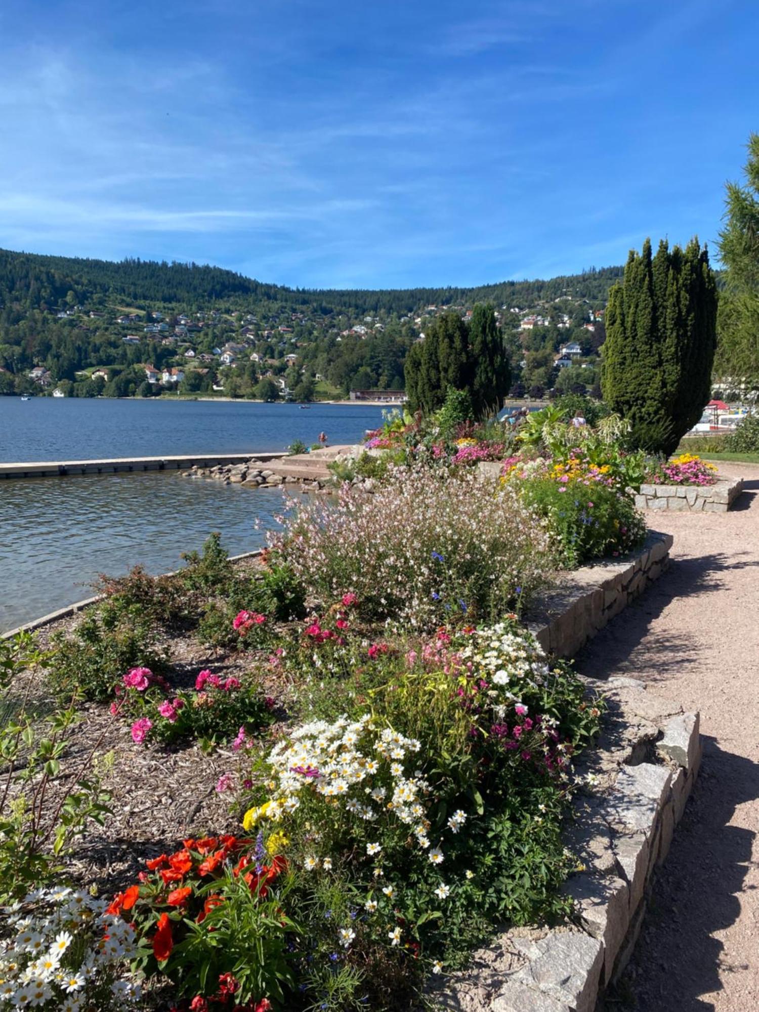 Charmant Chalet, Spacieux, Proche Du Lac, Vue Sur La Montagne Gérardmer Eksteriør bilde