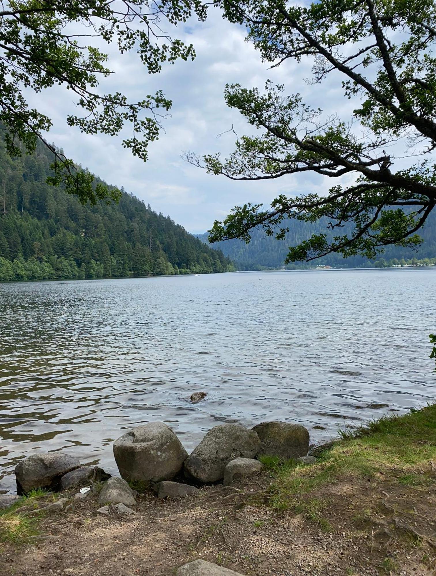 Charmant Chalet, Spacieux, Proche Du Lac, Vue Sur La Montagne Gérardmer Eksteriør bilde